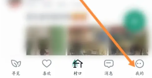 青藤之恋学历怎么修改